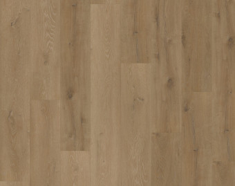 [800111406_10] Workshop 55 Click - Prestige Oak Light Amber - OFR-055-059