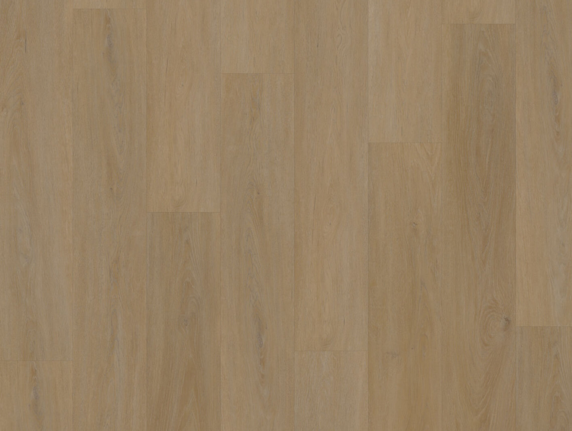 Workshop 55 Click - English Oak Honey - OFR-055-064