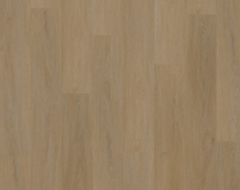 [800111406_15] Workshop 55 Click - English Oak Honey - OFR-055-064