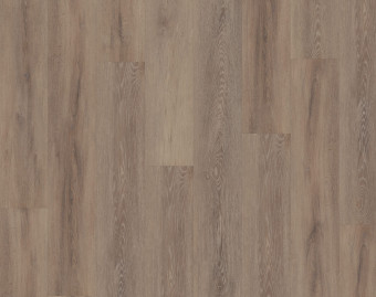[800111406_16] Workshop 55 Click - Cerused Oak Dark Natural - OFR-055-065