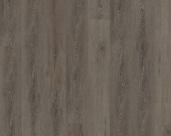 [800111406_18] Workshop 55 Click - Cerused Oak Dark Brown - OFR-055-067